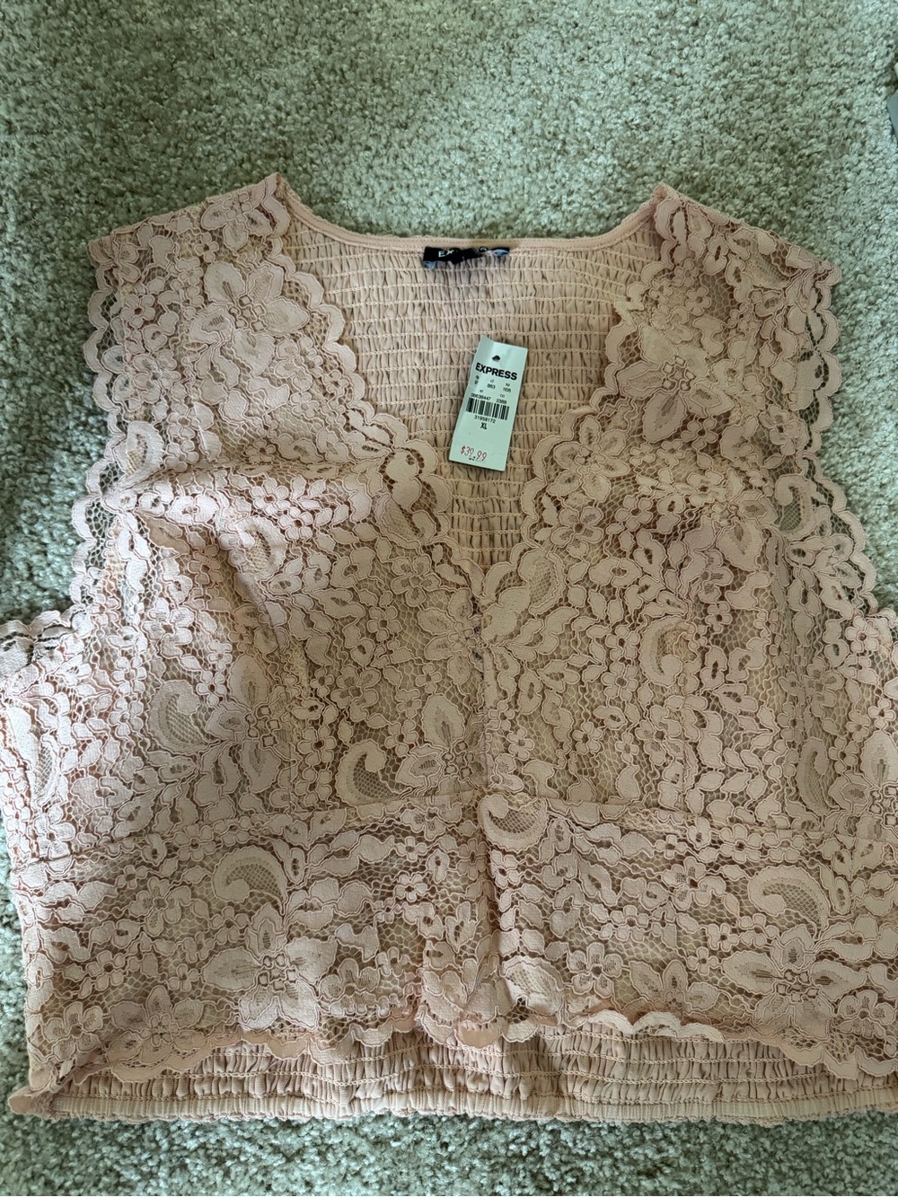 Express Lace V-Neck Camisole in Blush Pink